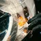 Nasiol HEADLIGHT RESTORER sada na renováciu svetlometov
